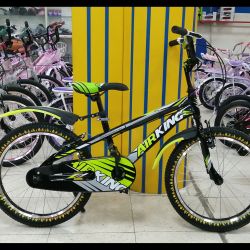 BMX 20 BLACK GREEN